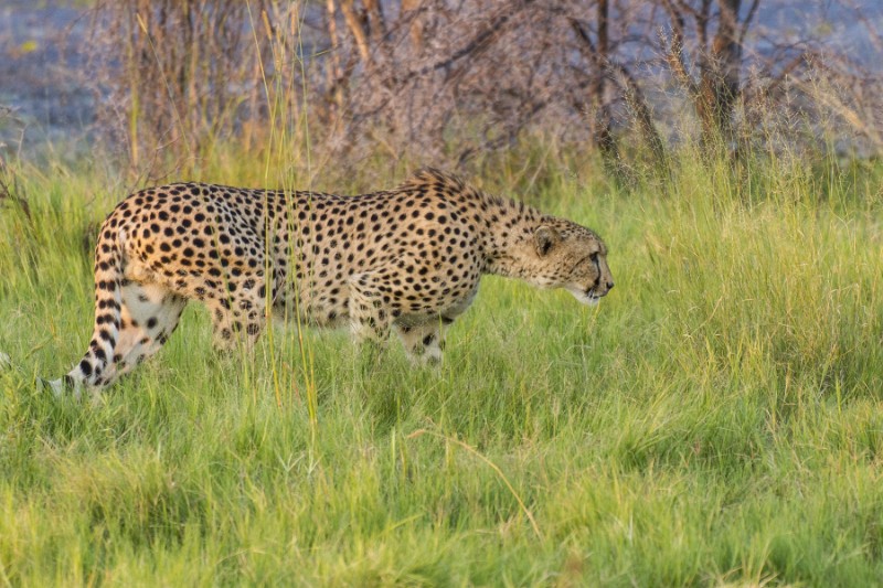 _MG_2533.jpg