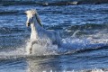 _MG_0200