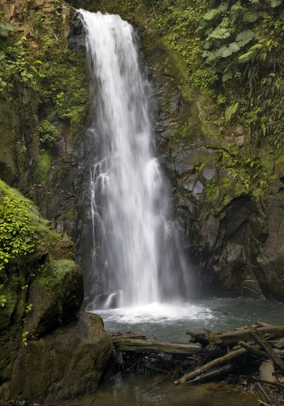 _MG_4480.jpg - La Paz Waterfalls Gardens