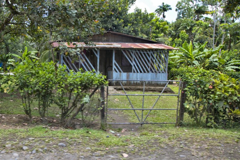 _MG_4690.jpg - Tortuguero National Park