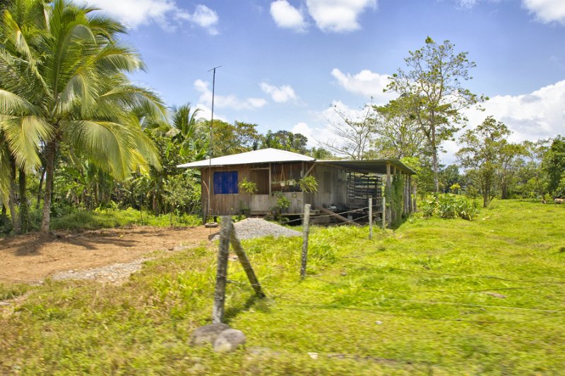 _MG_4712.jpg - Tortuguero National Park