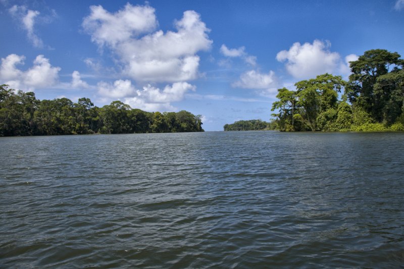 _MG_4721.jpg - Tortuguero National Park