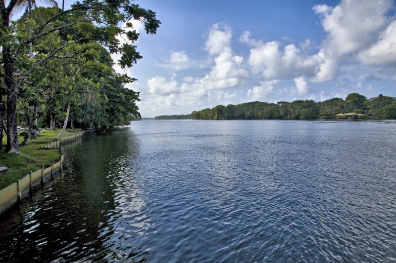 _MG_4731.jpg - Tortuguero National Park