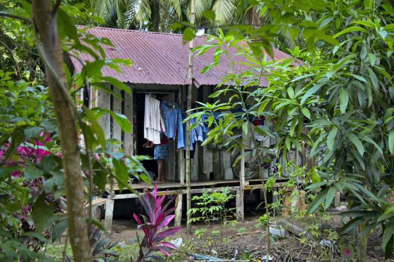 _MG_4741.jpg - Tortuguero National Park