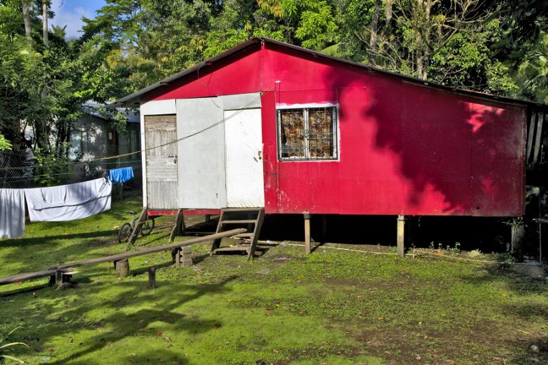 _MG_4743.jpg - Tortuguero National Park