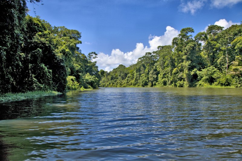 _MG_4774.jpg - Tortuguero National Park