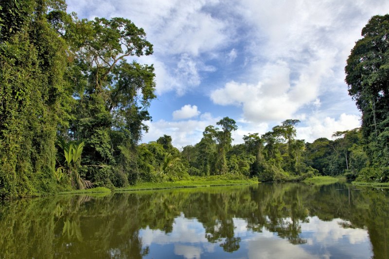 _MG_4812.jpg - Tortuguero National Park