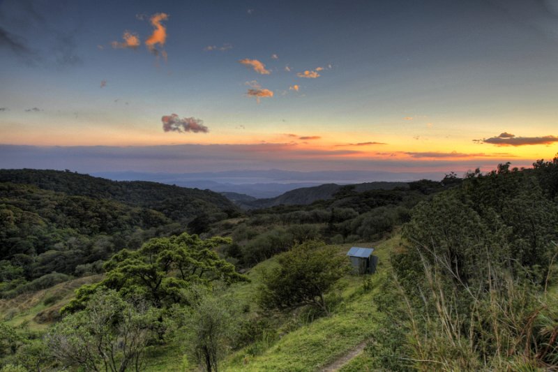 _MG_4950_1_2_tonemapped.jpg - Monteverde Cloud Forest