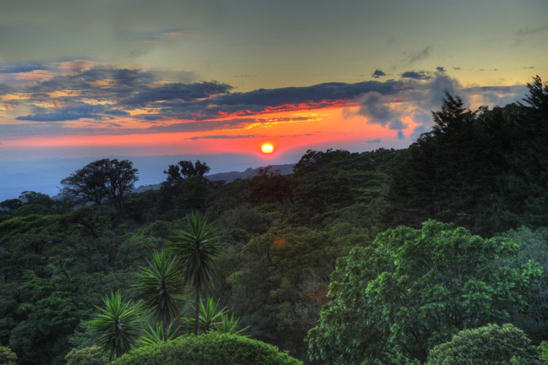 _MG_4962_3_4_tonemapped.jpg - Monteverde Cloud Forest