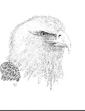 eagle