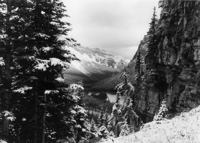 Overlooking Lake O'Hara