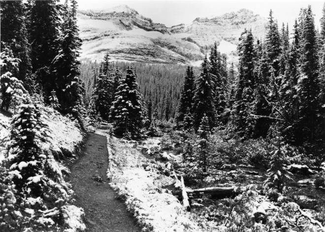 Backcountry in Yoho