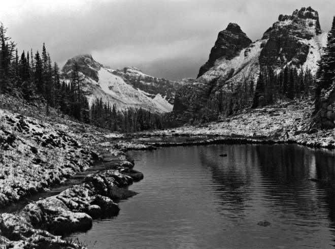 Backcountry in Yoho