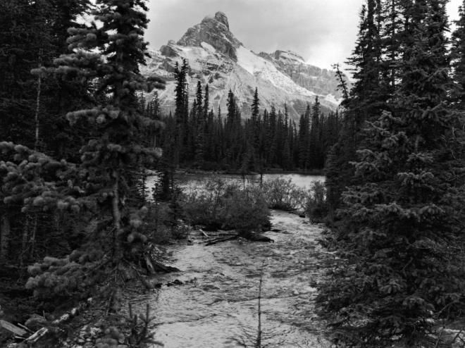 Backcountry in Yoho