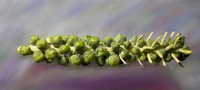 brusselsprouts