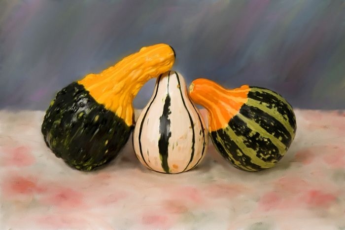 gourd