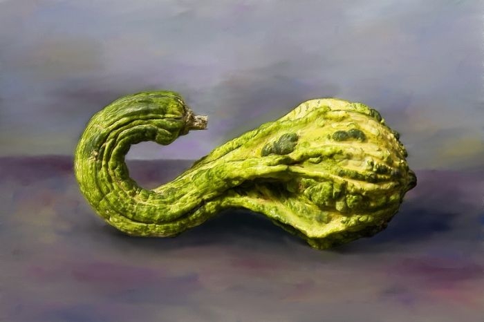 gourd5