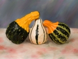 gourd