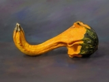 gourd3