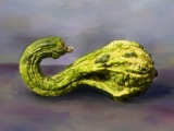 gourd5