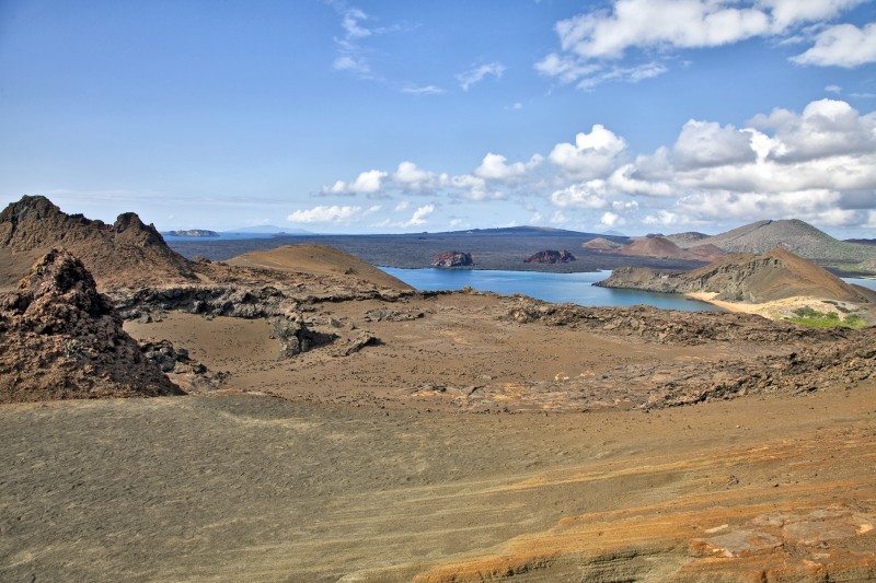 _MG_1106.jpg