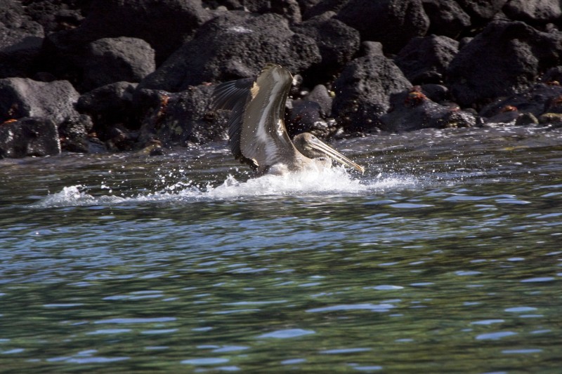 _MG_2346.jpg