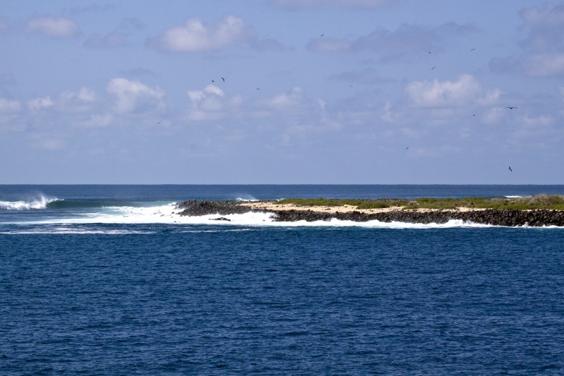 _MG_2497.jpg