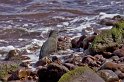 _MG_2458