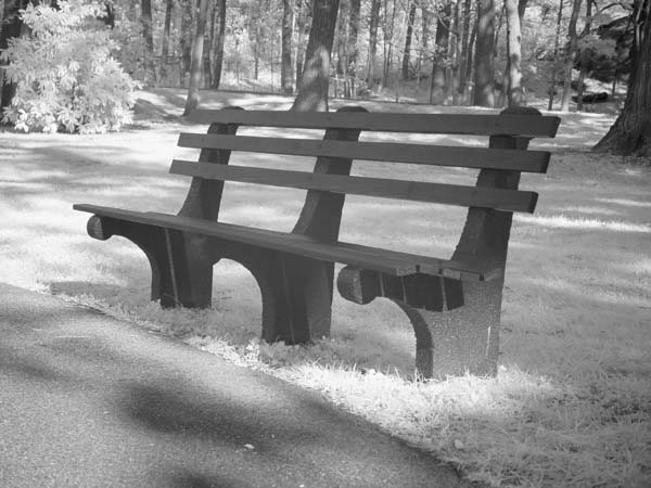 Park Bench #1