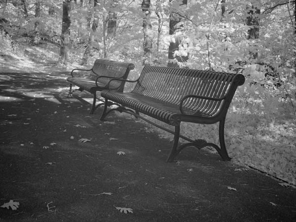 Park Bench in Tandem