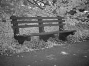 Park Bench #2