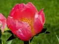 _MG_0965-01