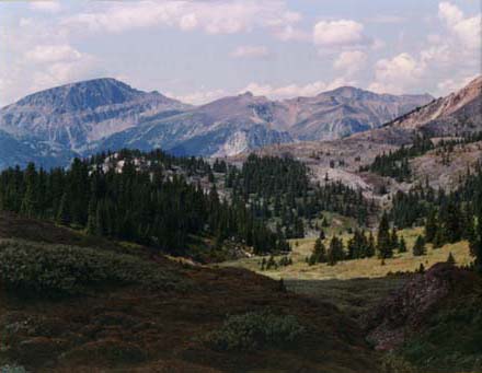 Jasper National Park