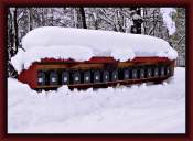 The Big Storm, Vermont